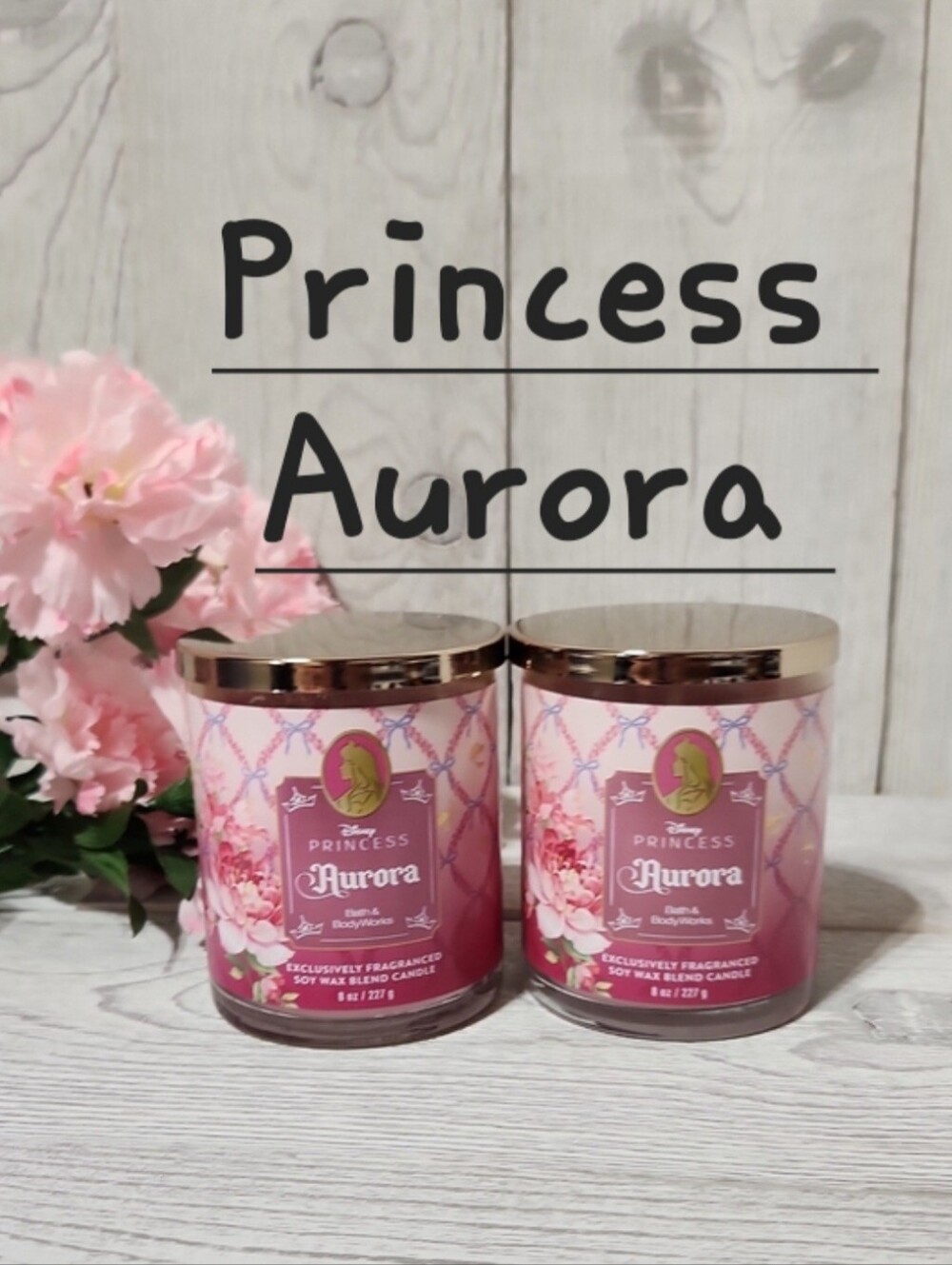 Bath & Body Works Aurora 8oz Single Wick Candles X2